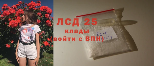 прущий лед Алзамай