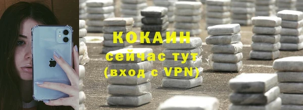 прущий лед Алзамай