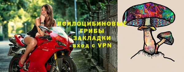 прущий лед Алзамай